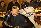 IMG 3387