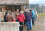IMG 4721