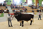 IMG 2978