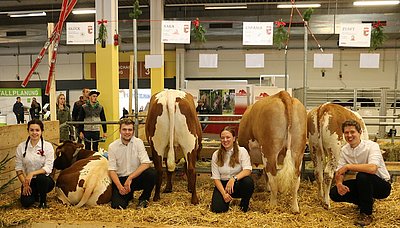 Team Salzburg - v.l. Lena Moser, Stefan Egger, Anna-Lena Rohrmoser, Josef Mooslechner