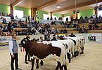 IMG 3080