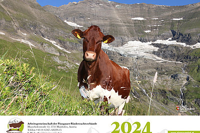 News Titelbild