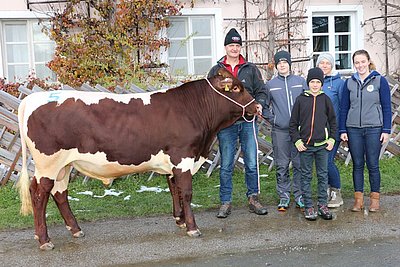 Ein Feiertag für die Pinzgauerzucht und für Familie Blaickner, Einöden, Mittersill! Zuchtstier RETZ (Remon x Mursi) wechselte um € 7.650 zur BSG Greifenberg!
