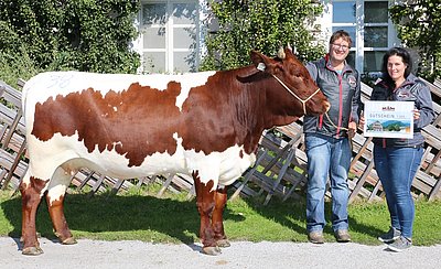 Eva und Christoph Schösser, Großschiltern, Bramberg lösten ihren Einkaufsgutschein mit STERN (V.Gerwin) von Markus Gensbichler, Berghof, Hinterglemm erfolgreich ein!