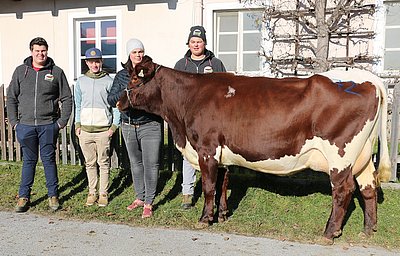 Drittlaktierende JULY (V.Rudi) von Heinrich Innerhofer, Klausner, Saalfelden