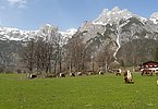 Prächtige Kontraste am Vorderfrommhof der Familie Rainer in Werfenweng!