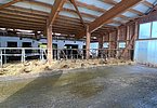 Grundlage eines Laufstalls für behornte Kühe - großzügige Flächen mit genügend Ausweichmöglichkeiten, wie sie am Moosburghof zu finden sind!