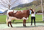 IMG 7017