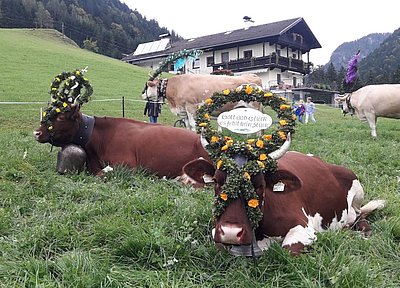 Prächtig nicht nur der Kopfschmuck, auch die Glocken sind eine Wucht!