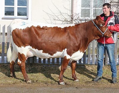 Raut (V.Simplon) von Hubert Eder, Bachseit