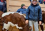Wird Valentin Hofer ewig in Erinnerung bleiben - der Besuch der 1.000.Versteigerung, wo eine tolle Überraschung auf ihn wartet!