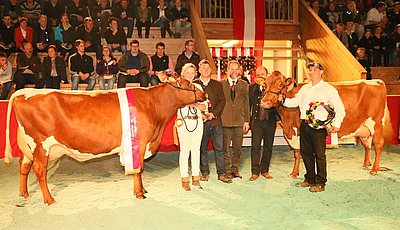 Gesamtsieger PIxRF - GAMS (V.Joyboy Red) von Fam. Reitstätter, Hackl, Kössen und MARIE (V.Diploma Red) vom Litzlhof in Lendorf/Ktn.