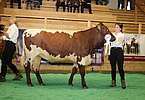IMG 3245