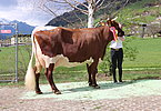 IMG 6909