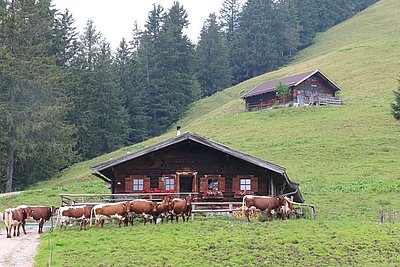 auf seiner "Milchkuhalm" und dem schönen Götz-Kaser!