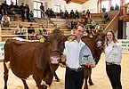 Freude über die tollen Siegerauszeichnungen bei Hans Schmiderer und seiner Schwester Anna Gruber!