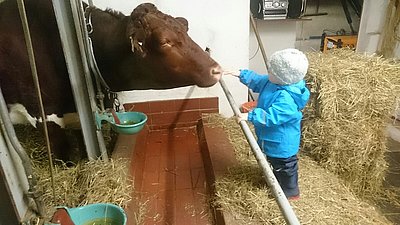 Denn anschließend gibt's ja eine Belohnung vom jungen Reitersmann!