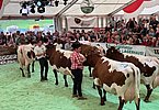 IMG 7110
