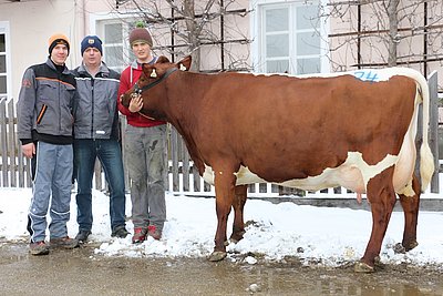 Leisteten tolle Arbeit! FL Herbert Rudigier und zwei Schüler der LFS Bruck mit BRUCK (V.Melus)