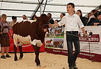 IMG 0766