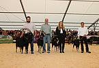 IMG 0825